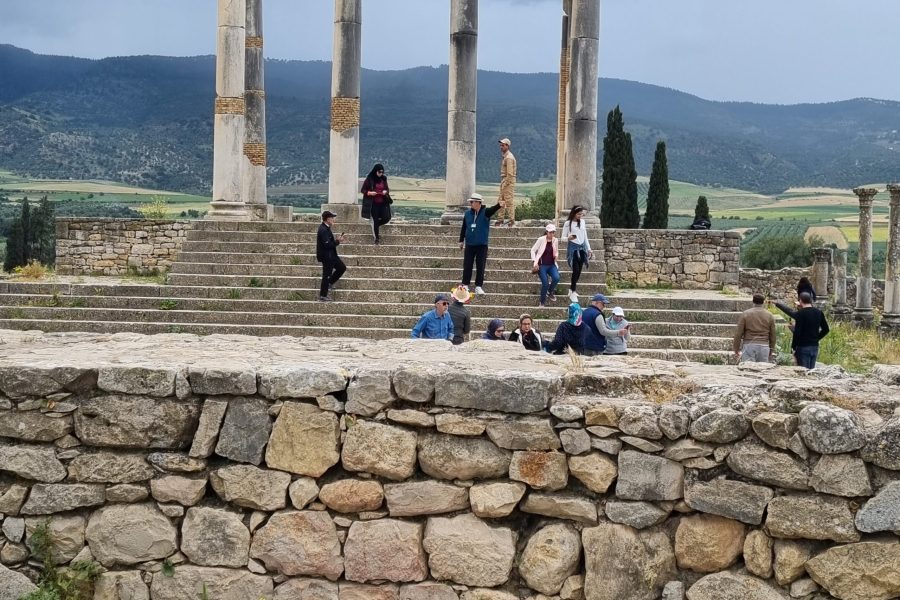 Fullday Tour  from  Fes  to  Volubilis-Meknès and  Moulay  Driss